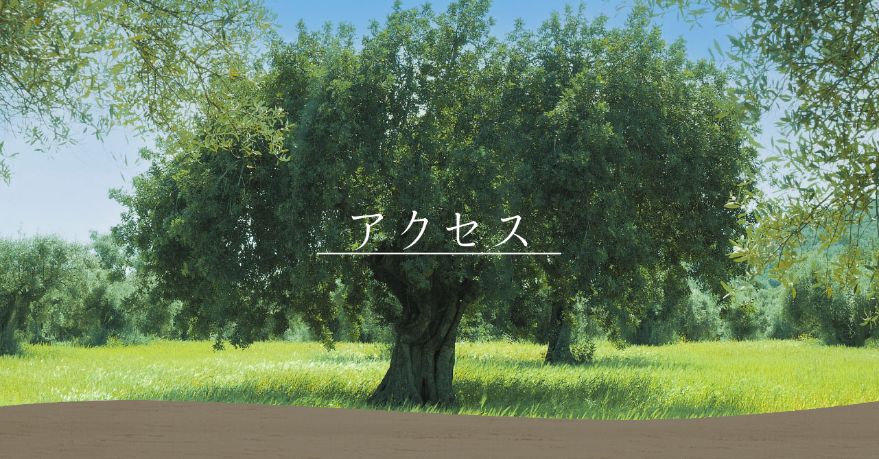 メインビジュアル